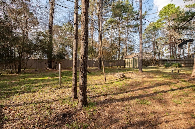 view of yard featuring a storage unit, an outdoor structure, and a fenced backyard