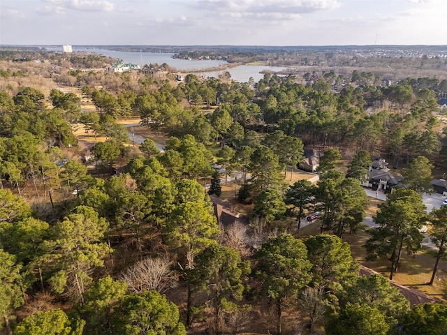 drone / aerial view with a water view and a forest view