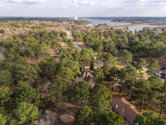 drone / aerial view with a water view and a forest view