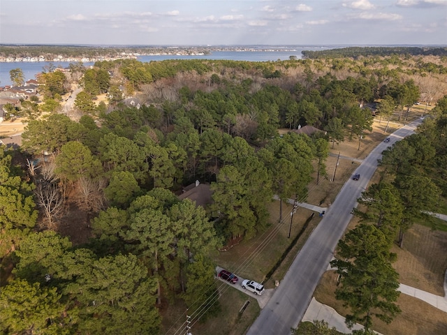 birds eye view of property with a water view and a forest view