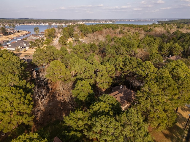 birds eye view of property with a water view and a wooded view