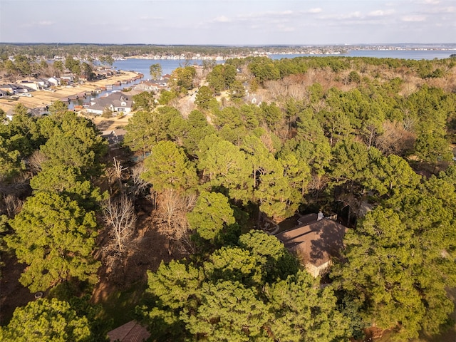 bird's eye view featuring a water view and a forest view