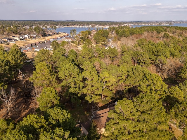 drone / aerial view featuring a water view and a view of trees