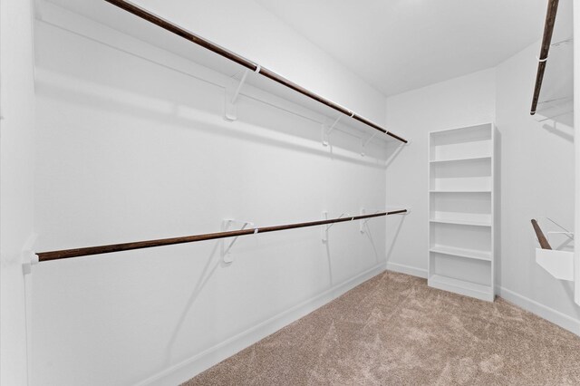 spacious closet featuring light colored carpet