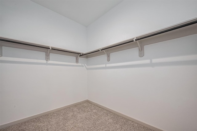 walk in closet with carpet