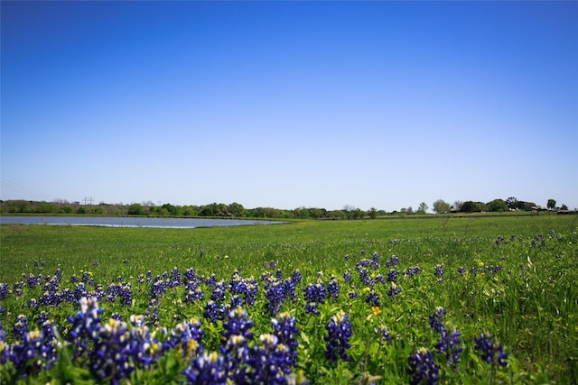 Listing photo 3 for 187ACRES Chadwick Hogan Rd, Chappell Hill TX 77426