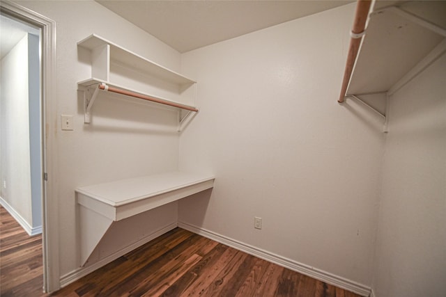 spacious closet with dark wood-type flooring