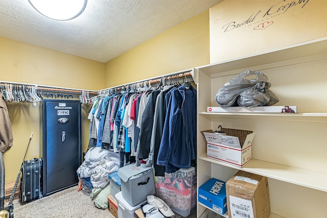 spacious closet with carpet floors