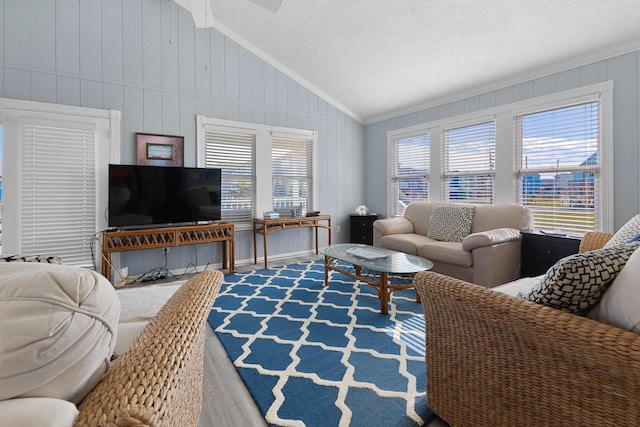 living area with lofted ceiling, ornamental molding, a textured ceiling, and a healthy amount of sunlight