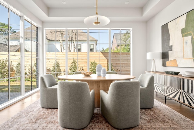 dining room featuring a tray ceiling, a wealth of natural light, and wood finished floors