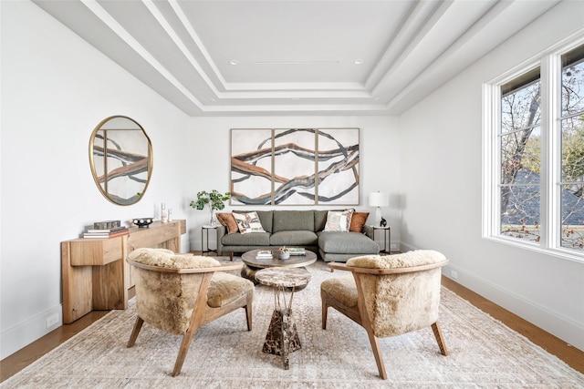 living area featuring wood finished floors, a raised ceiling, and baseboards