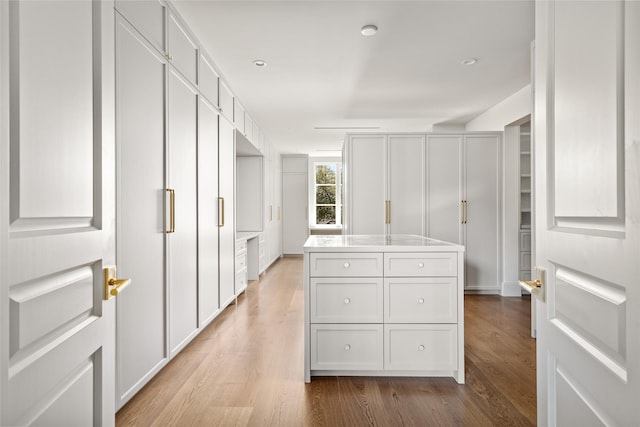 spacious closet featuring light wood-style flooring