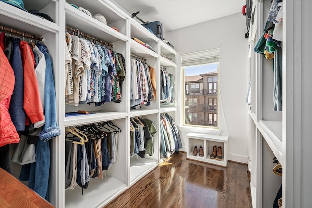 walk in closet featuring wood finished floors