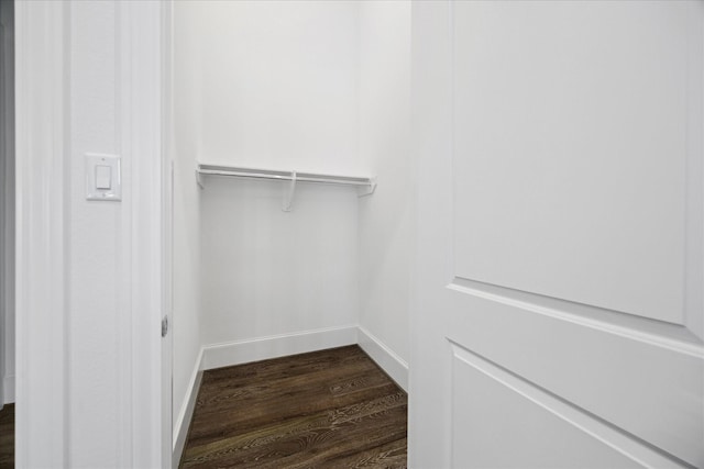 spacious closet featuring dark wood finished floors