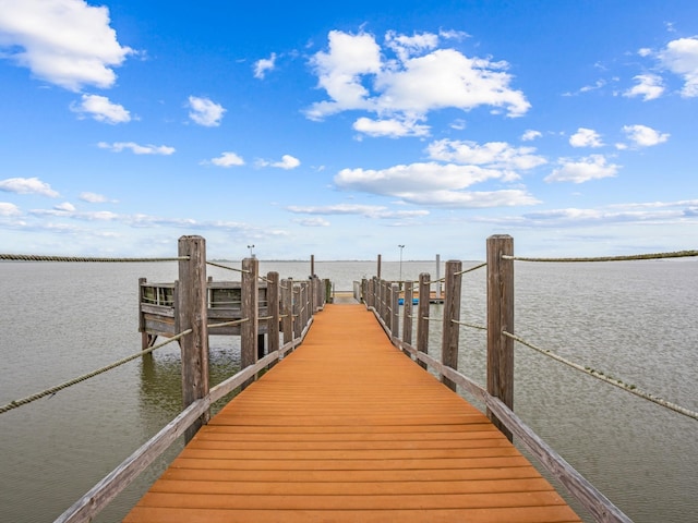 dock area with a water view