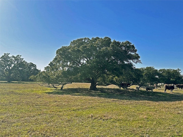 Listing photo 3 for 0 William Penn, Washington TX 77880