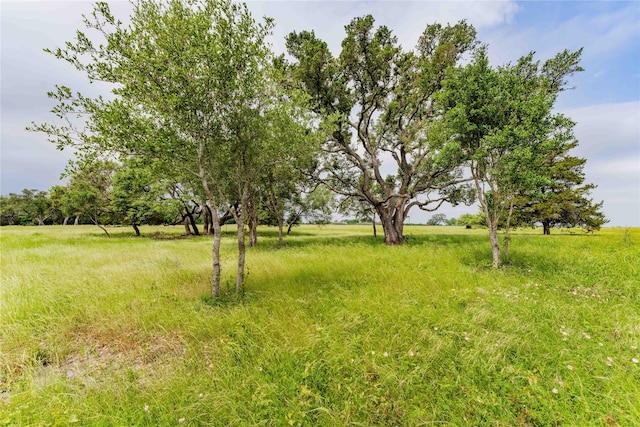 Listing photo 3 for 745 W Fm 1291, Round Top TX 78954