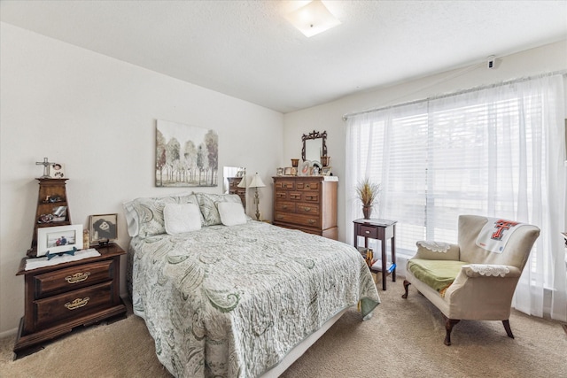 bedroom with a textured ceiling and carpet floors