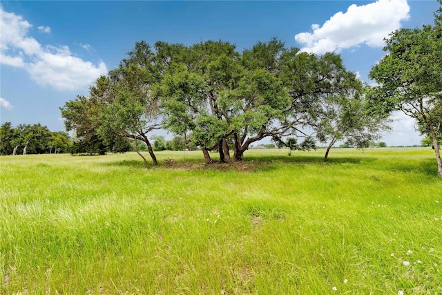 TractB W Fm 1291, Round Top TX, 78954 land for sale