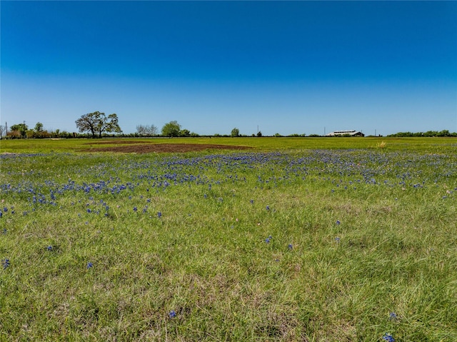 TRACT5 W Fm 1291, Round Top, TX 78954 - photo 5