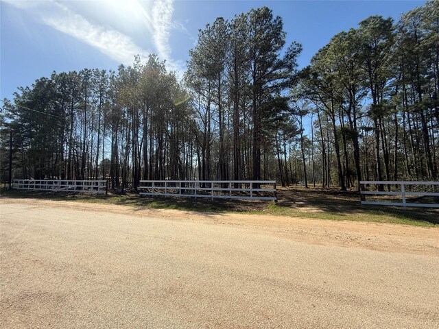 251 Seth Blvd, Cleveland, TX 77328 - photo 9