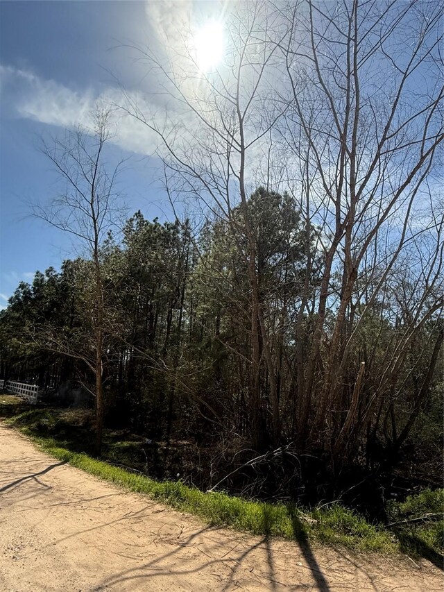 251 Seth Blvd, Cleveland, TX 77328 - photo 15