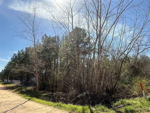 251 Seth Blvd, Cleveland, TX 77328 - photo 19