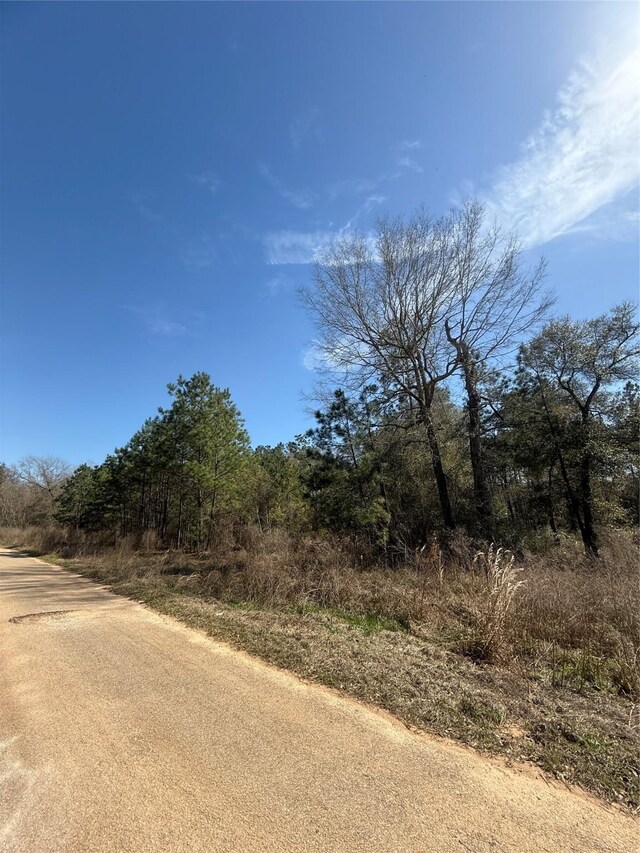 251 Seth Blvd, Cleveland, TX 77328 - photo 22