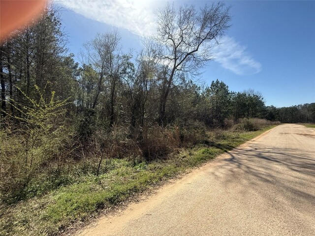 251 Seth Blvd, Cleveland, TX 77328 - photo 23