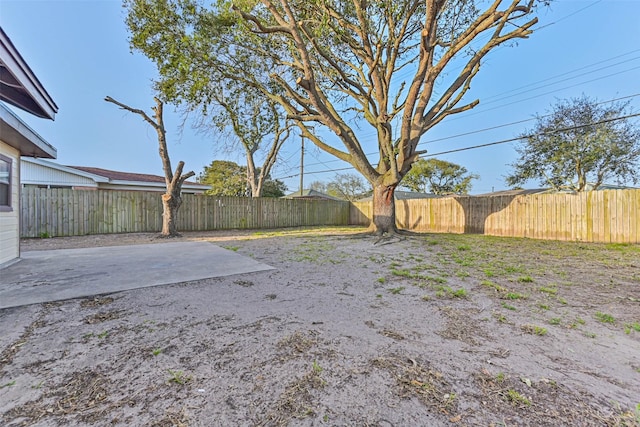 view of yard featuring a fenced backyard and a patio