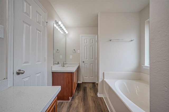 bathroom featuring wood finished floors, vanity, and a bath