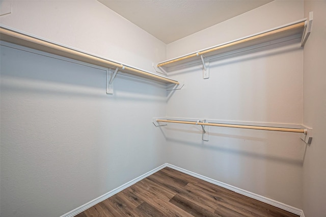 walk in closet featuring dark wood-type flooring