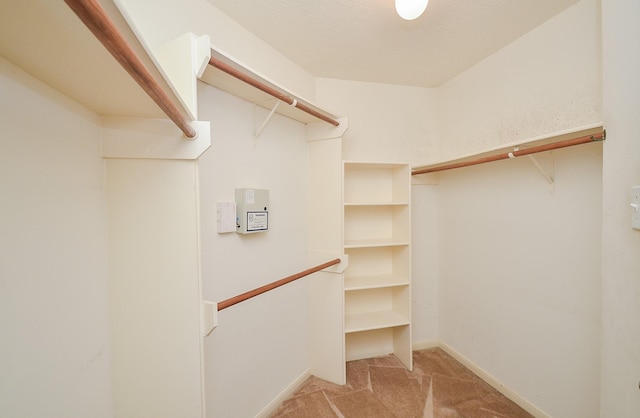 spacious closet with carpet flooring