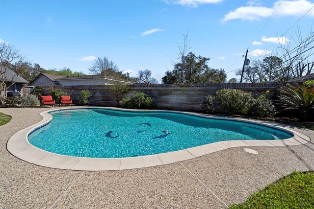 view of pool featuring a fenced in pool, a patio, and a fenced backyard