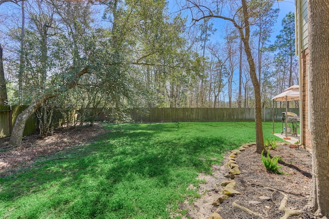 view of yard featuring a fenced backyard