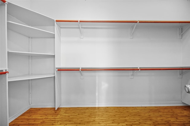 spacious closet featuring wood finished floors