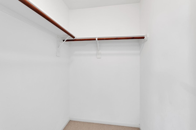 walk in closet featuring light colored carpet