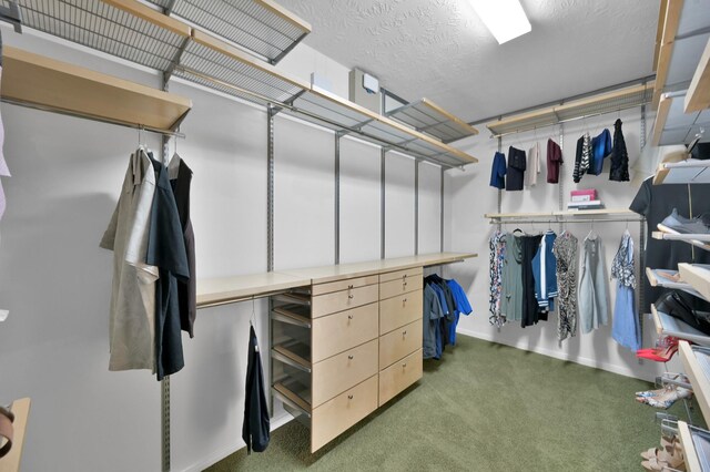 walk in closet featuring carpet