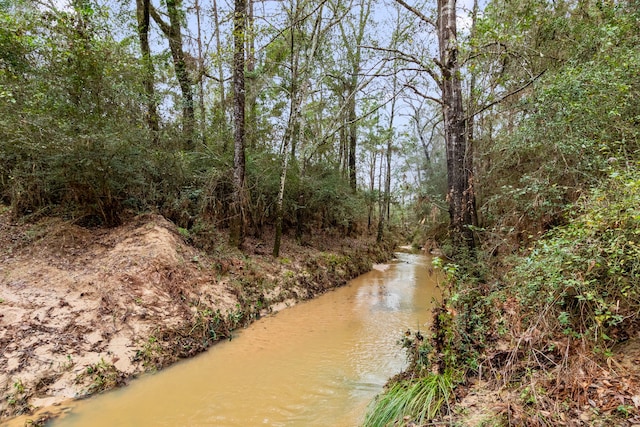 water view featuring a forest view