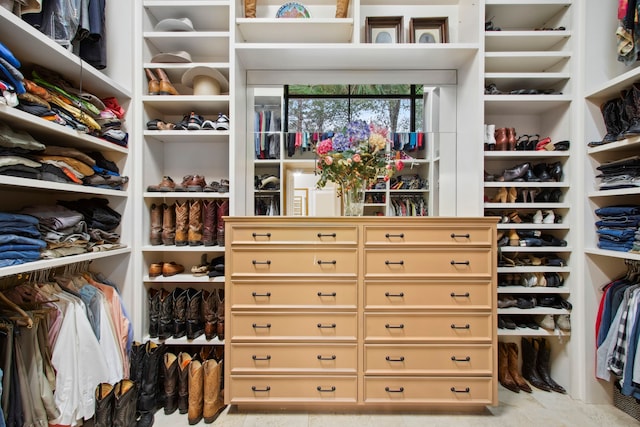 view of spacious closet