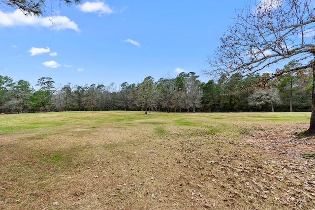 view of yard featuring a forest view