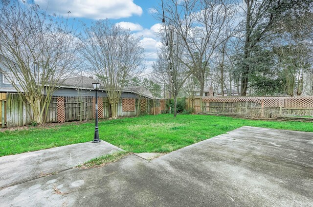 view of yard with a patio area and a fenced backyard