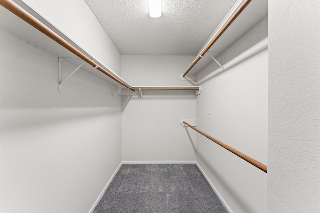 spacious closet with carpet flooring