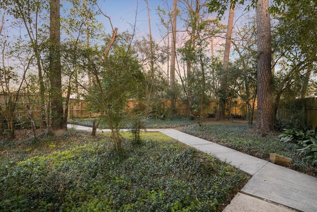 yard at dusk with a fenced backyard