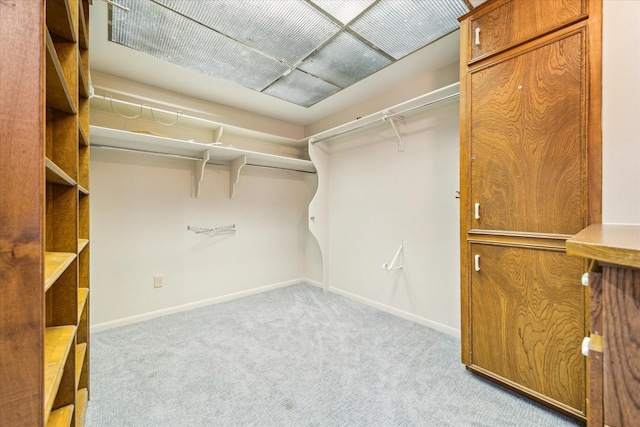 walk in closet featuring carpet flooring