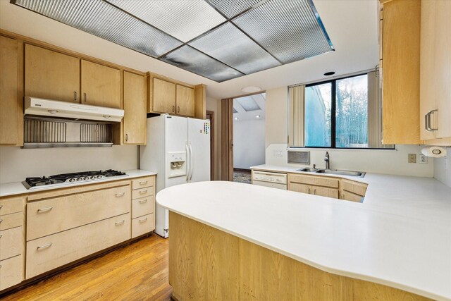 kitchen featuring under cabinet range hood, white appliances, and light brown cabinetry