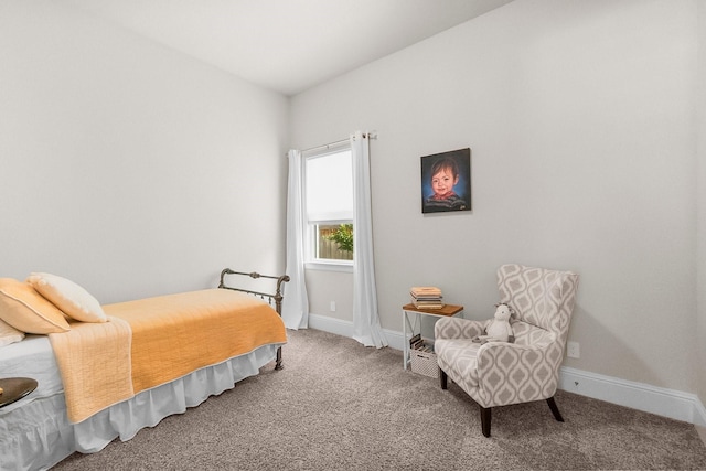 bedroom with baseboards and carpet floors