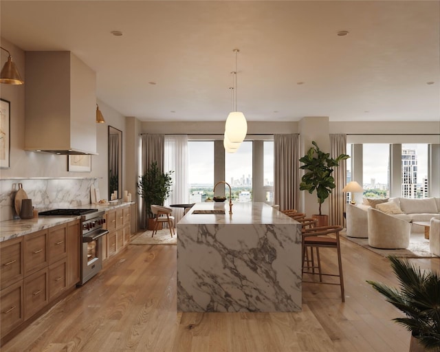 kitchen featuring light wood-style floors, a sink, high end range, and range hood