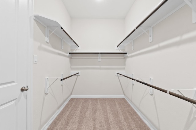 walk in closet with light carpet