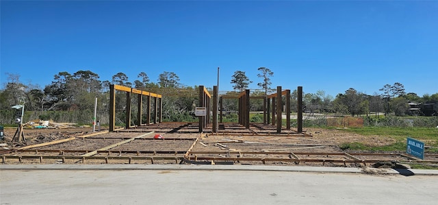 view of jungle gym